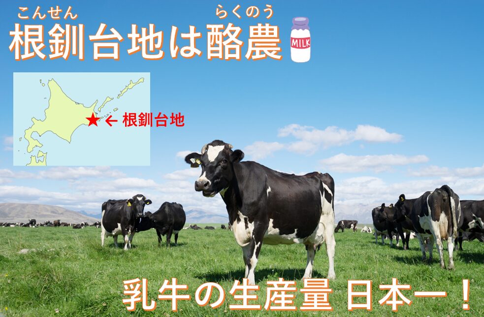根釧台地の酪農のイメージ画像