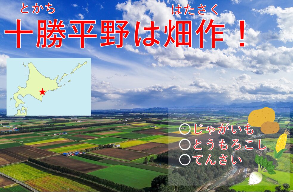 十勝平野の畑作のイメージ画像
