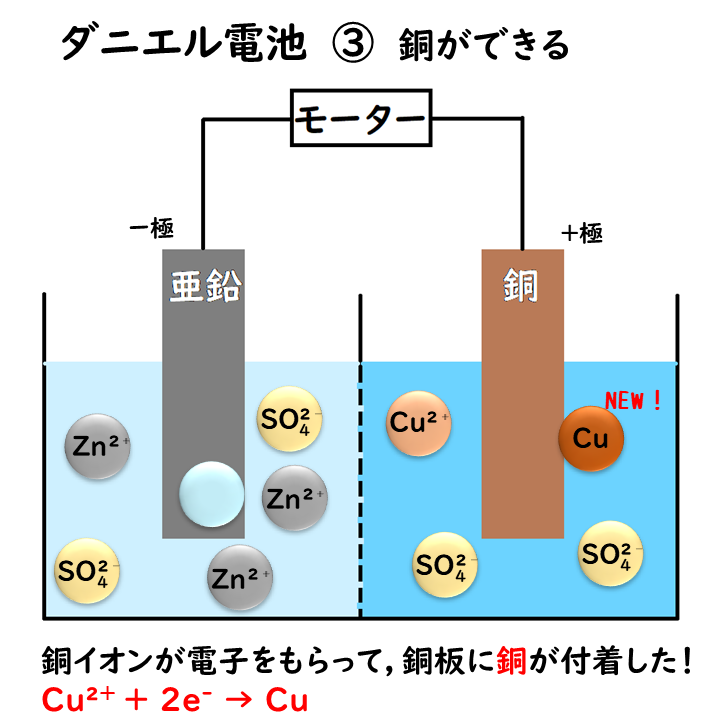 ダニエル電池のしくみ3