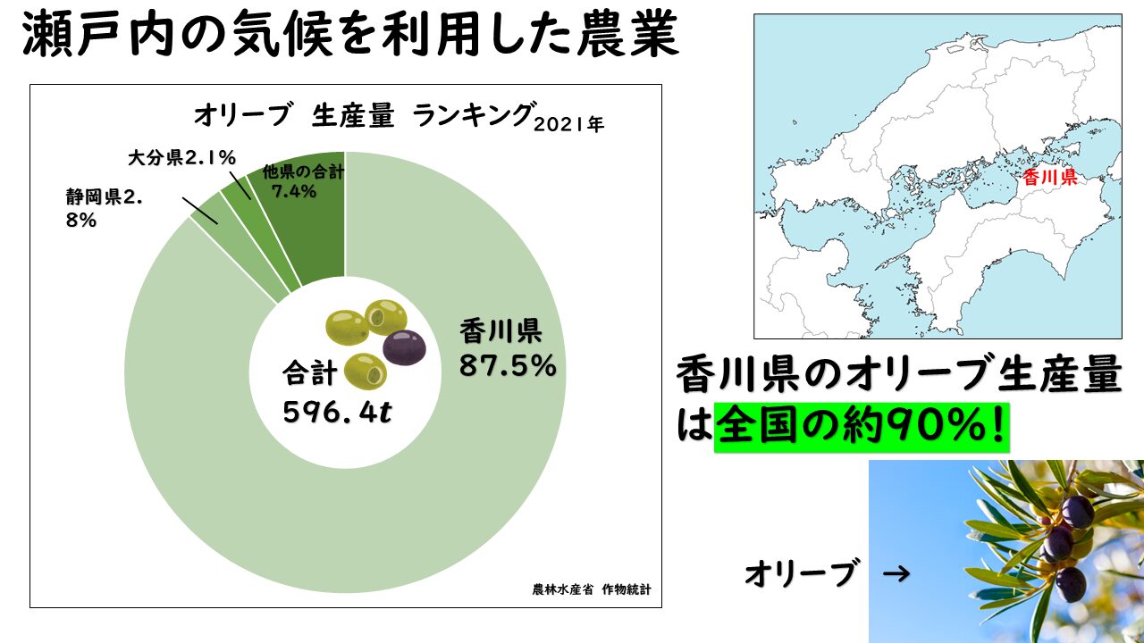 香川県のオリーブの画像