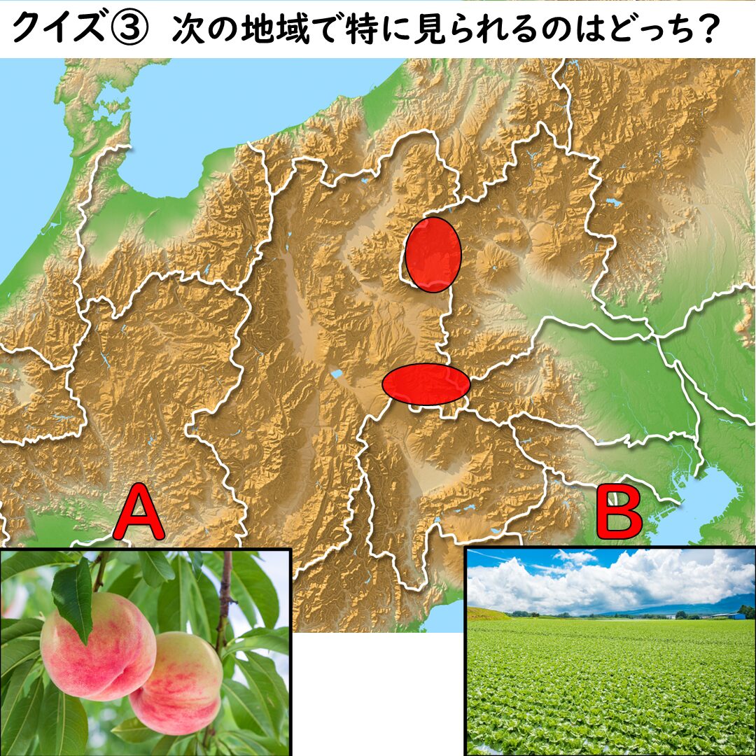 中央高地でよく見られる農業クイズの画像