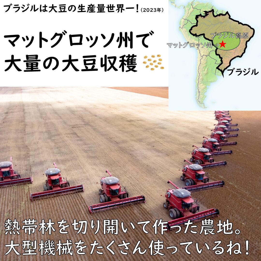マットグロッソ州で大豆収穫