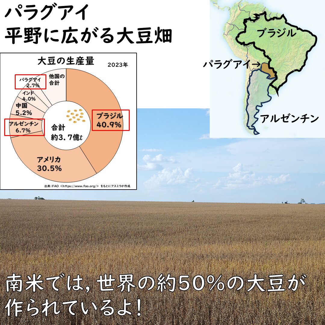 大豆畑の画像