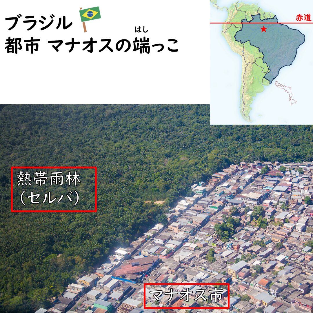 マナオス市の端っこ