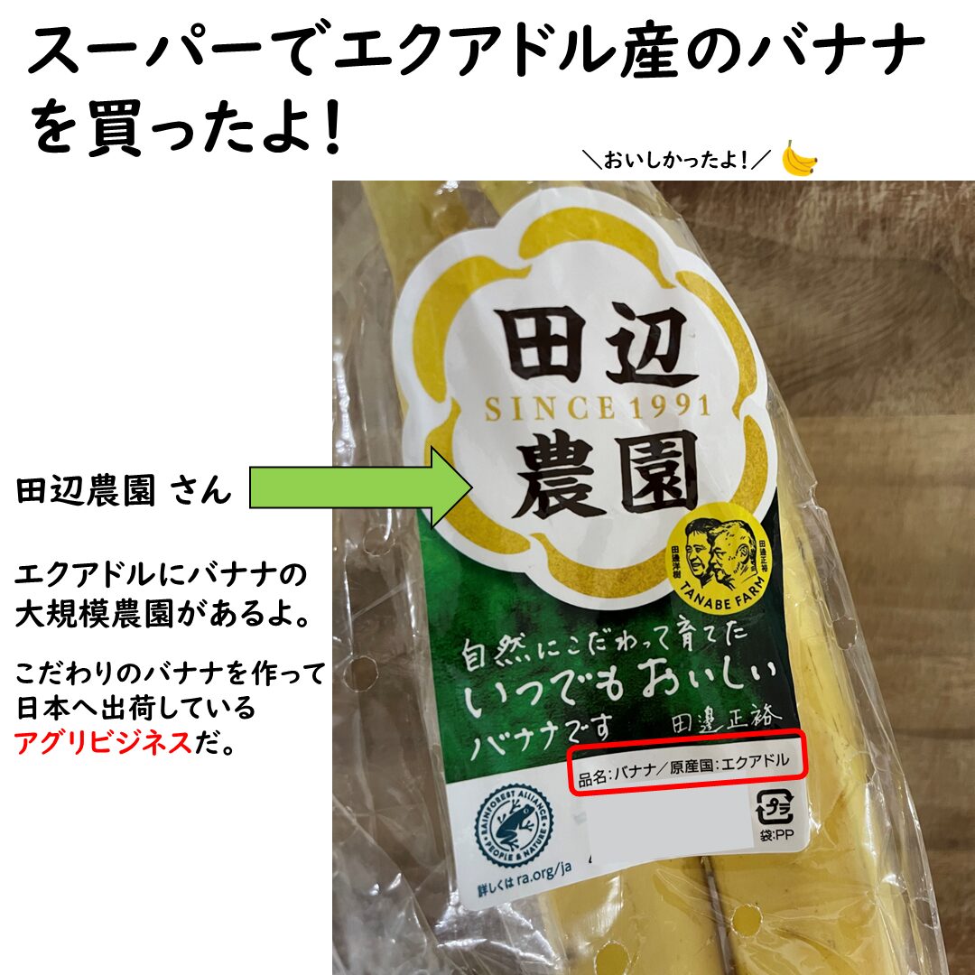 エクアドルのバナナ