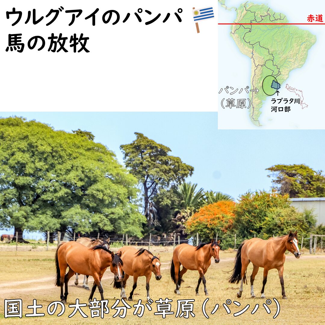 ウルグアイのパンパ