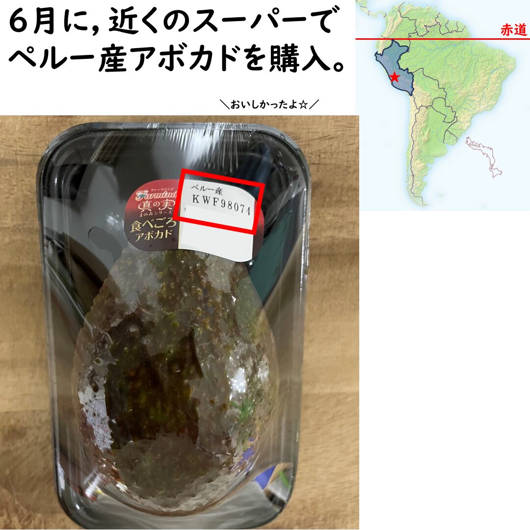 ペルー産のアボカド