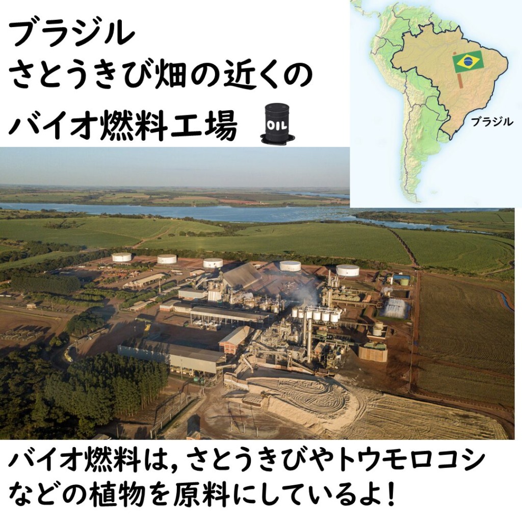 さとうきび畑の近くのバイオ燃料工場