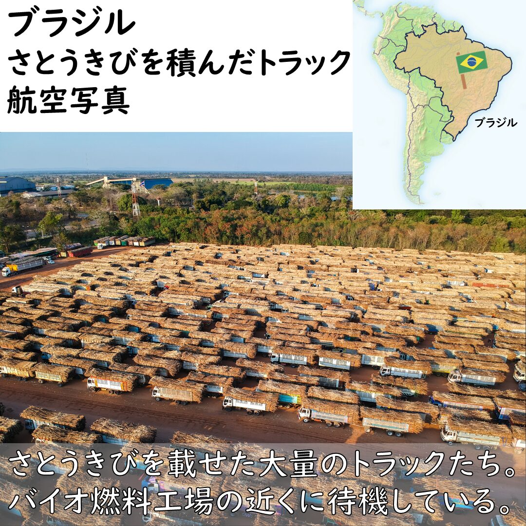 さとうきびを積んだトラック