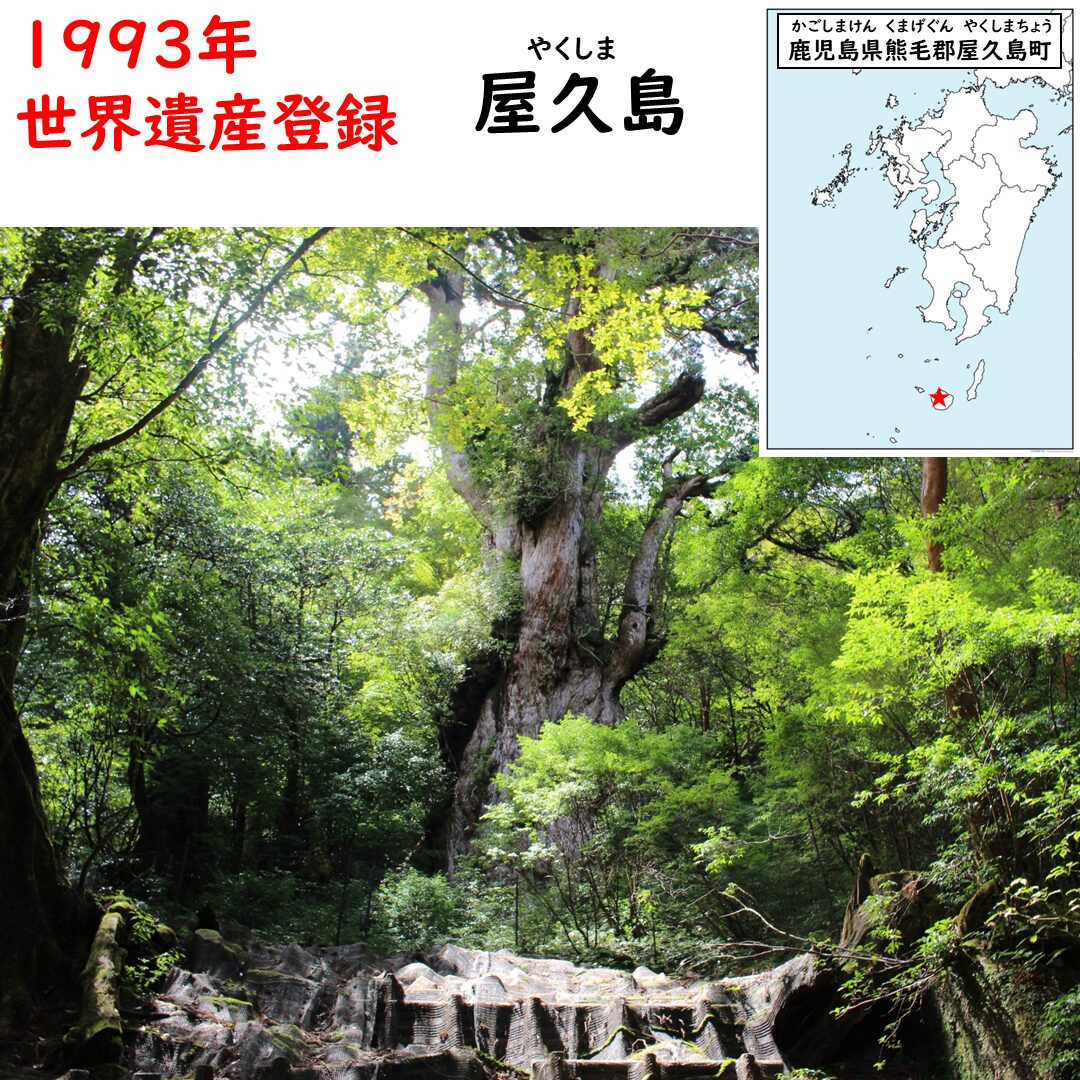 屋久島